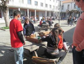 img_13951.jpg Thumbnail