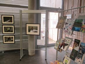 img_14021.jpg Thumbnail