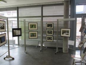 img_14031.jpg Thumbnail