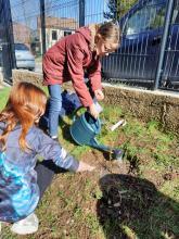 plantation_darbuste_1ere_classe3.jpg Thumbnail