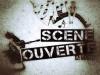sceneouv.jpg Thumbnail